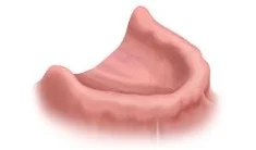 arch1-imgs